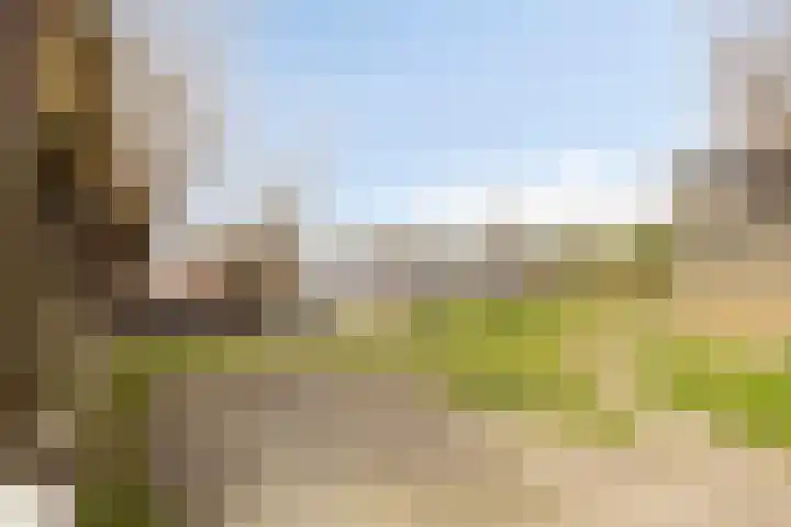 Rosandepolder 42 Arnhem thumbnail 40