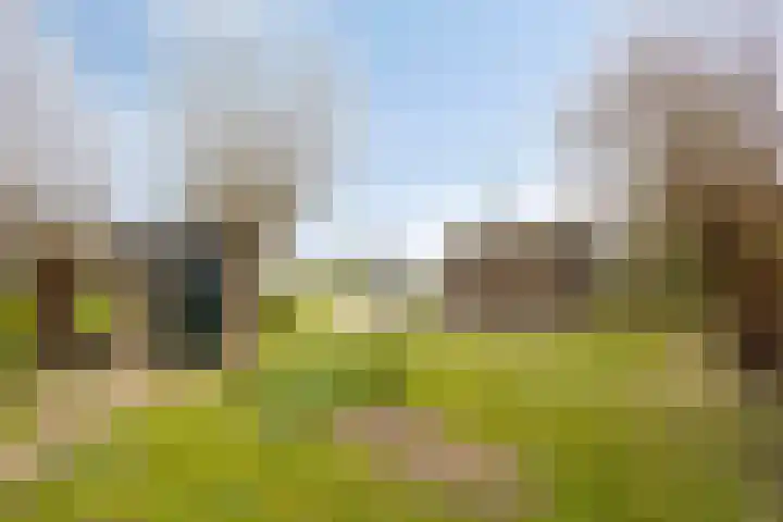 Rosandepolder 42 Arnhem thumbnail 41
