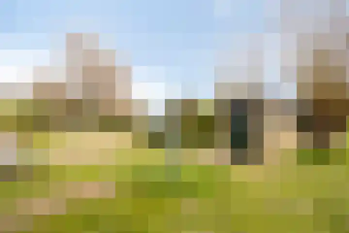 Rosandepolder 42 Arnhem thumbnail 42