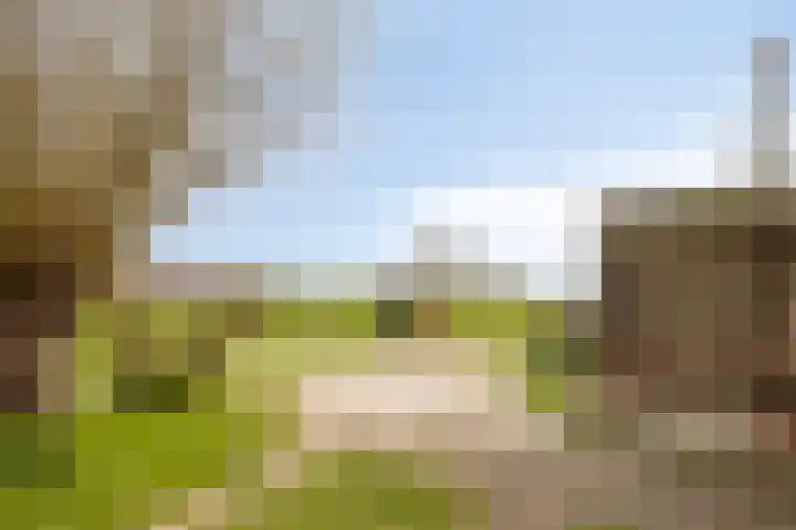 Rosandepolder 42 Arnhem thumbnail 44