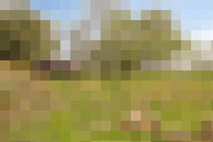 Rosandepolder 42 Arnhem thumbnail 46