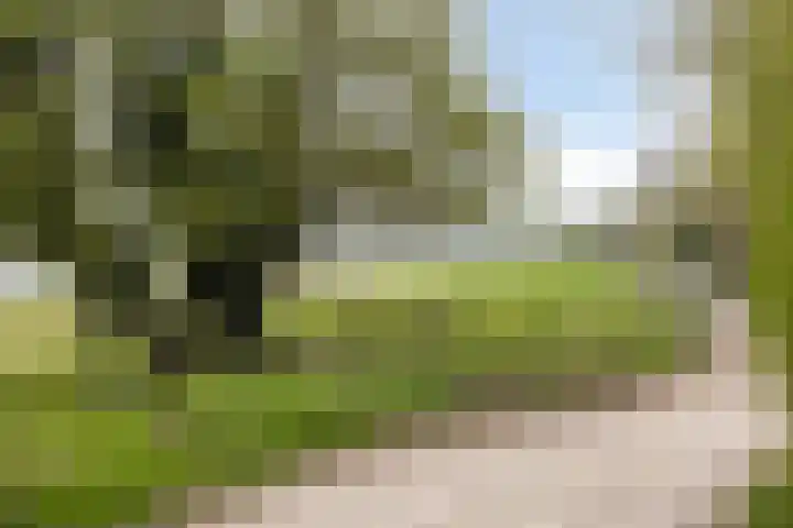Rosandepolder 42 Arnhem thumbnail 48