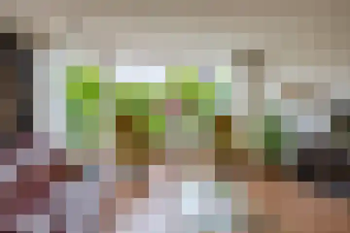 Rosanderwaard 65 Capelle aan den IJssel thumbnail 10