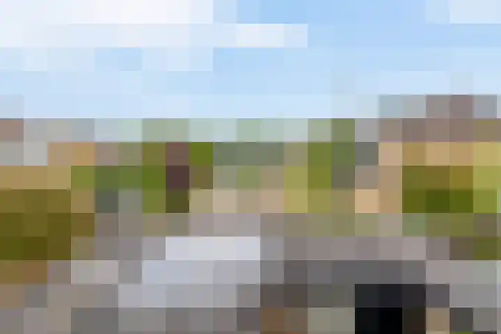 Rosanderwaard 65 Capelle aan den IJssel thumbnail 28