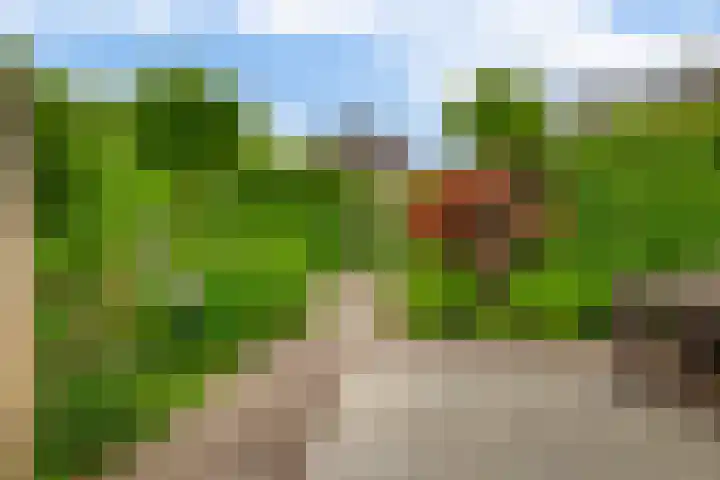 Rosanderwaard 65 Capelle aan den IJssel thumbnail 35