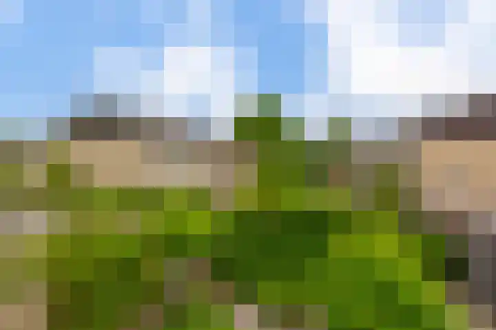 Rosanderwaard 65 Capelle aan den IJssel thumbnail 36