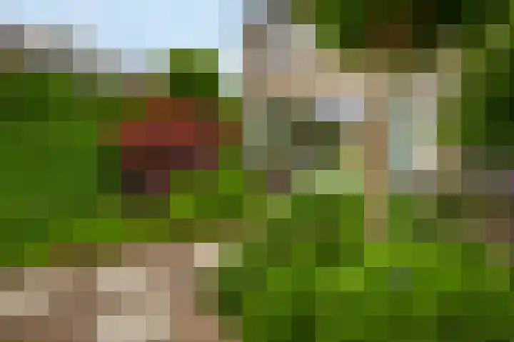 Rosanderwaard 65 Capelle aan den IJssel thumbnail 37