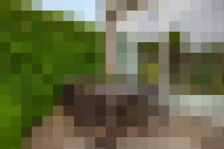 Rosanderwaard 65 Capelle aan den IJssel thumbnail 38