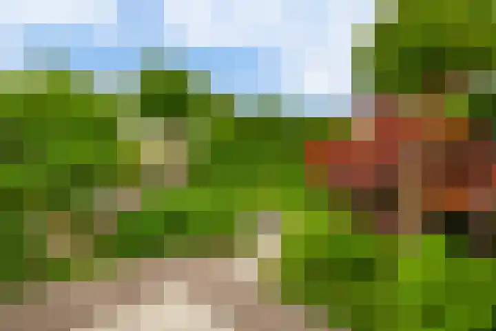 Rosanderwaard 65 Capelle aan den IJssel thumbnail 39