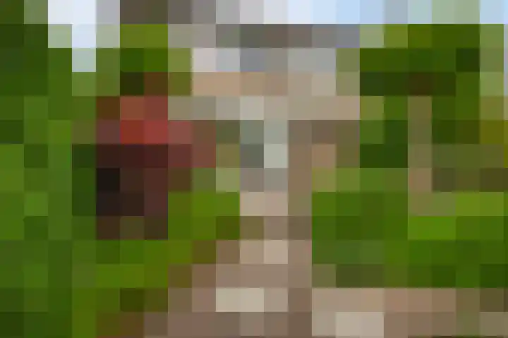 Rosanderwaard 65 Capelle aan den IJssel thumbnail 4