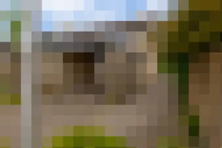 Rosanderwaard 65 Capelle aan den IJssel thumbnail 42