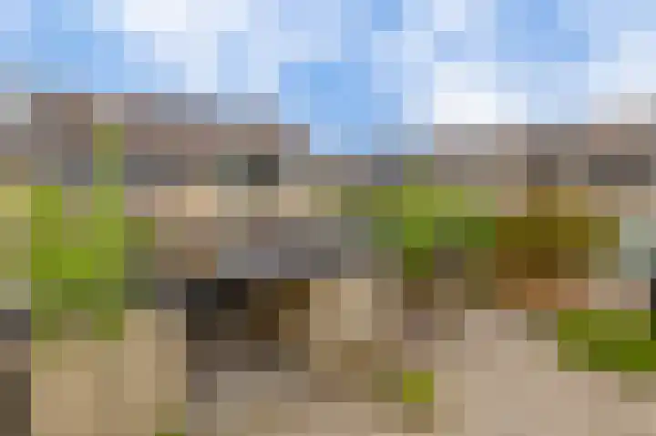 Rosanderwaard 65 Capelle aan den IJssel thumbnail 45