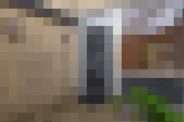 Rosanderwaard 65 Capelle aan den IJssel thumbnail 7