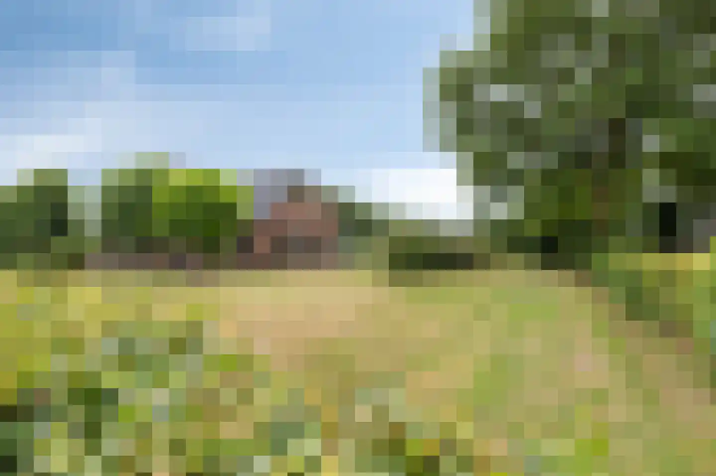 Rosandeweg 1 Zevenaar thumbnail 103