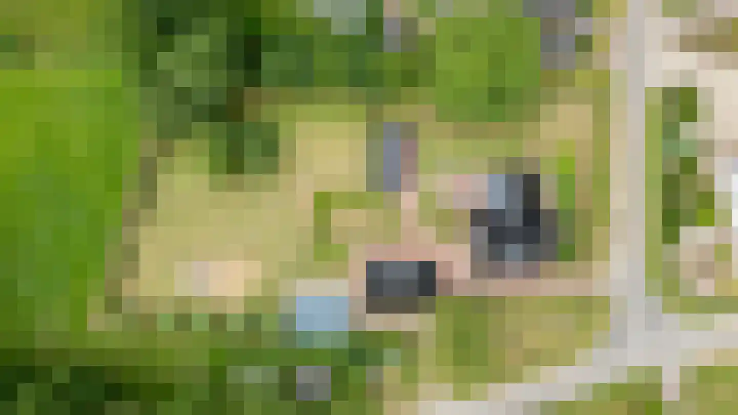 Rosandeweg 1 Zevenaar thumbnail 104