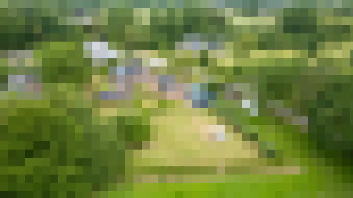 Rosandeweg 1 Zevenaar thumbnail 107