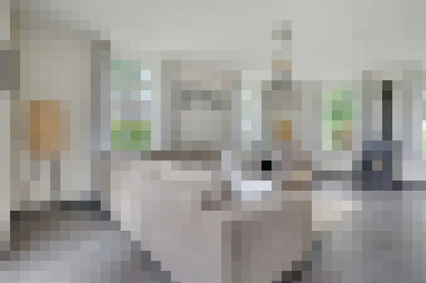 Rosandeweg 1 Zevenaar thumbnail 36