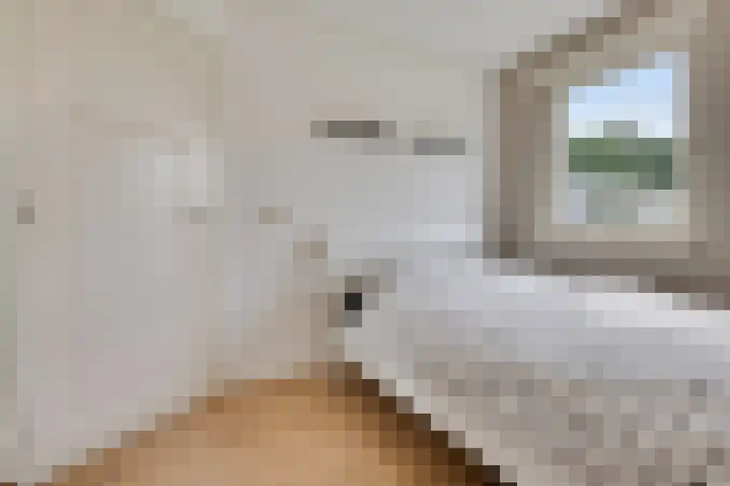Rosandeweg 1 Zevenaar thumbnail 47