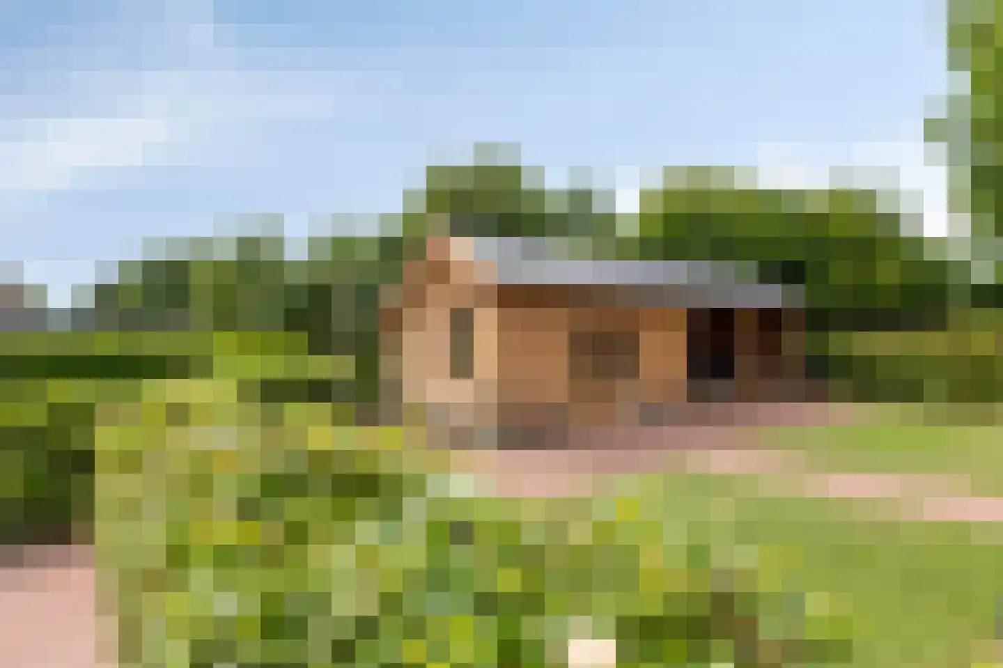 Rosandeweg 1 Zevenaar thumbnail 93
