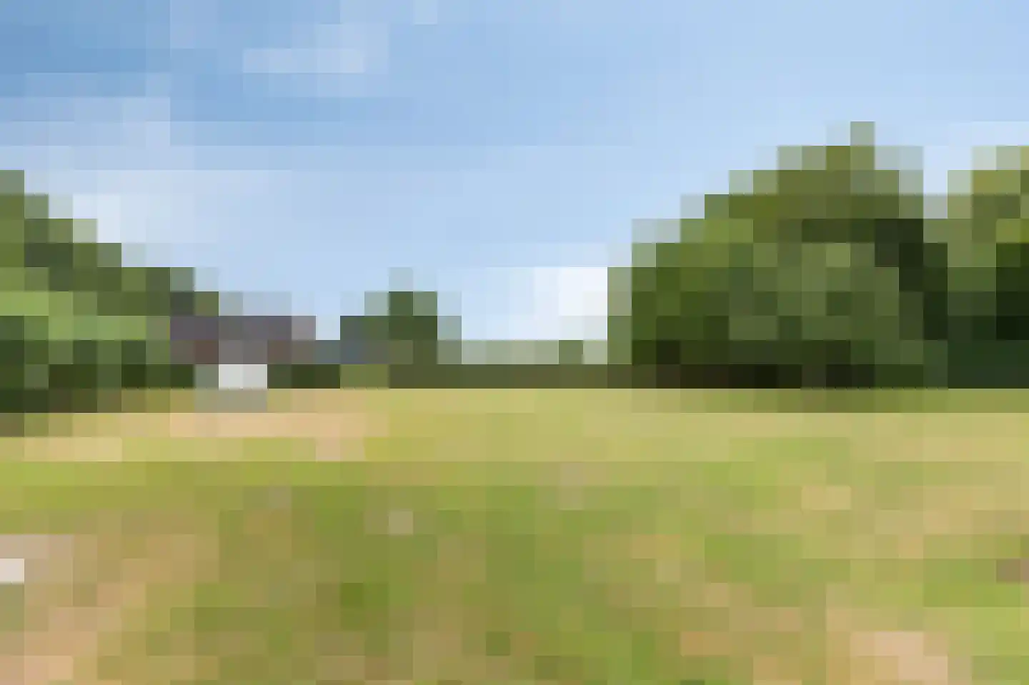 Rosandeweg 1 Zevenaar thumbnail 99