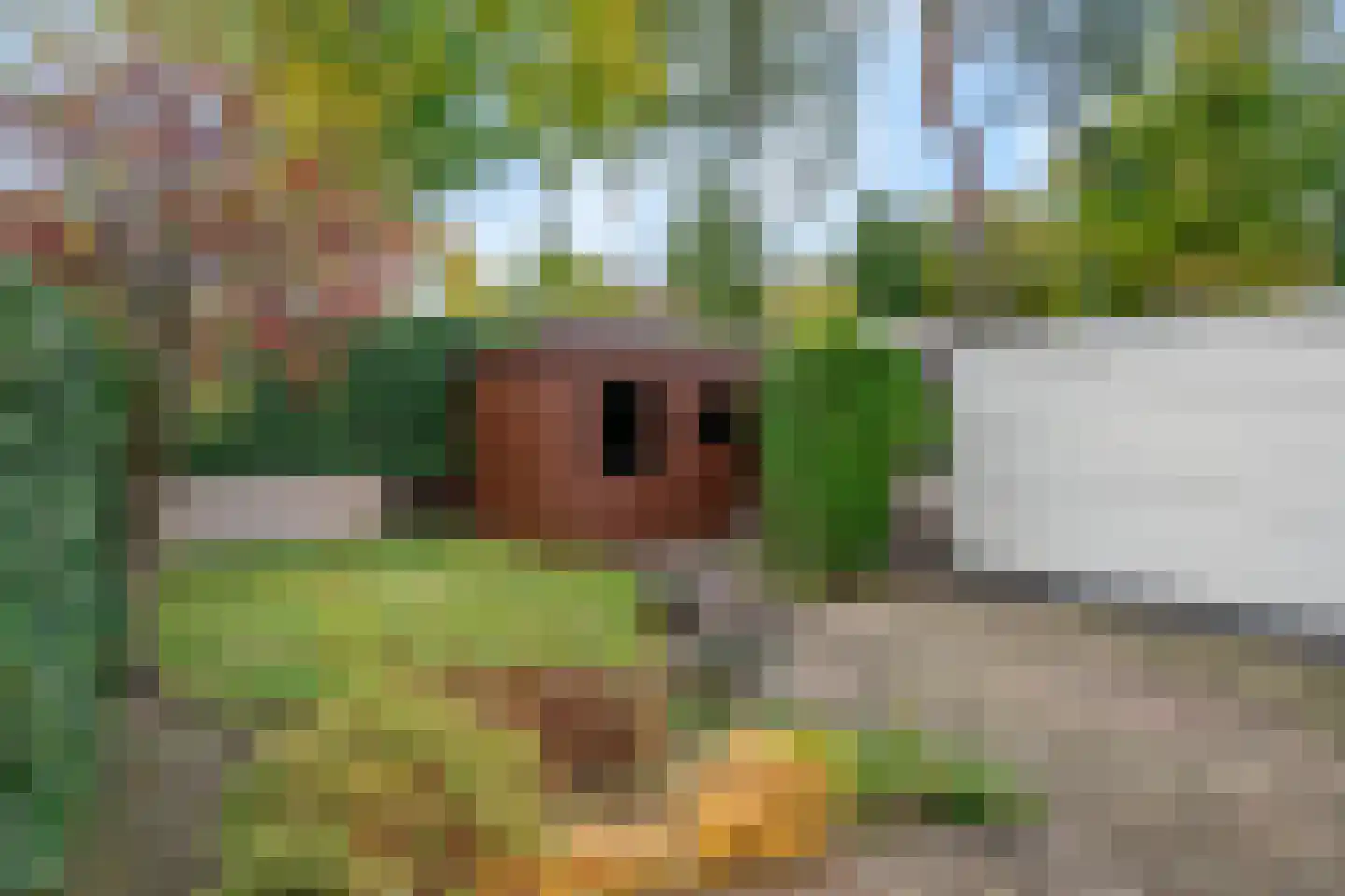 Rosandeweg 15 Oosterbeek thumbnail 43