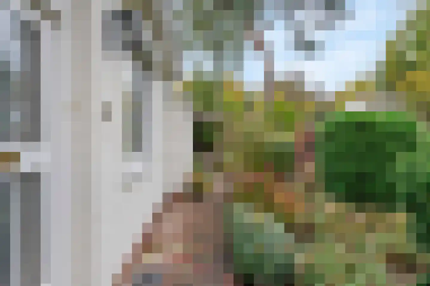 Rosandeweg 15 Oosterbeek thumbnail 44