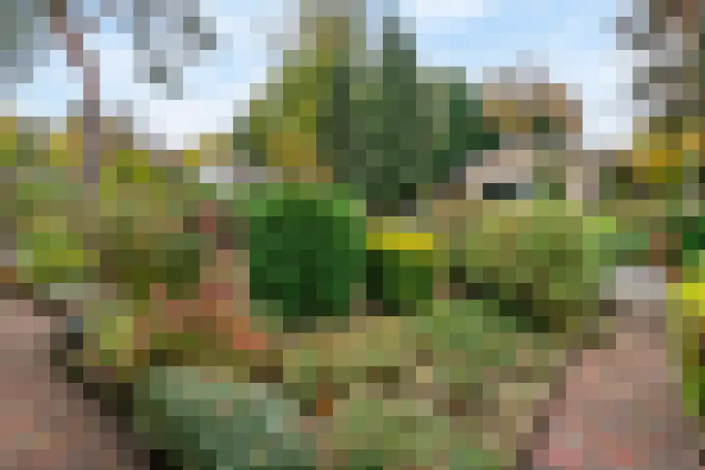Rosandeweg 15 Oosterbeek thumbnail 45