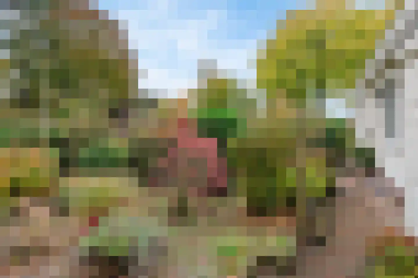Rosandeweg 15 Oosterbeek thumbnail 46