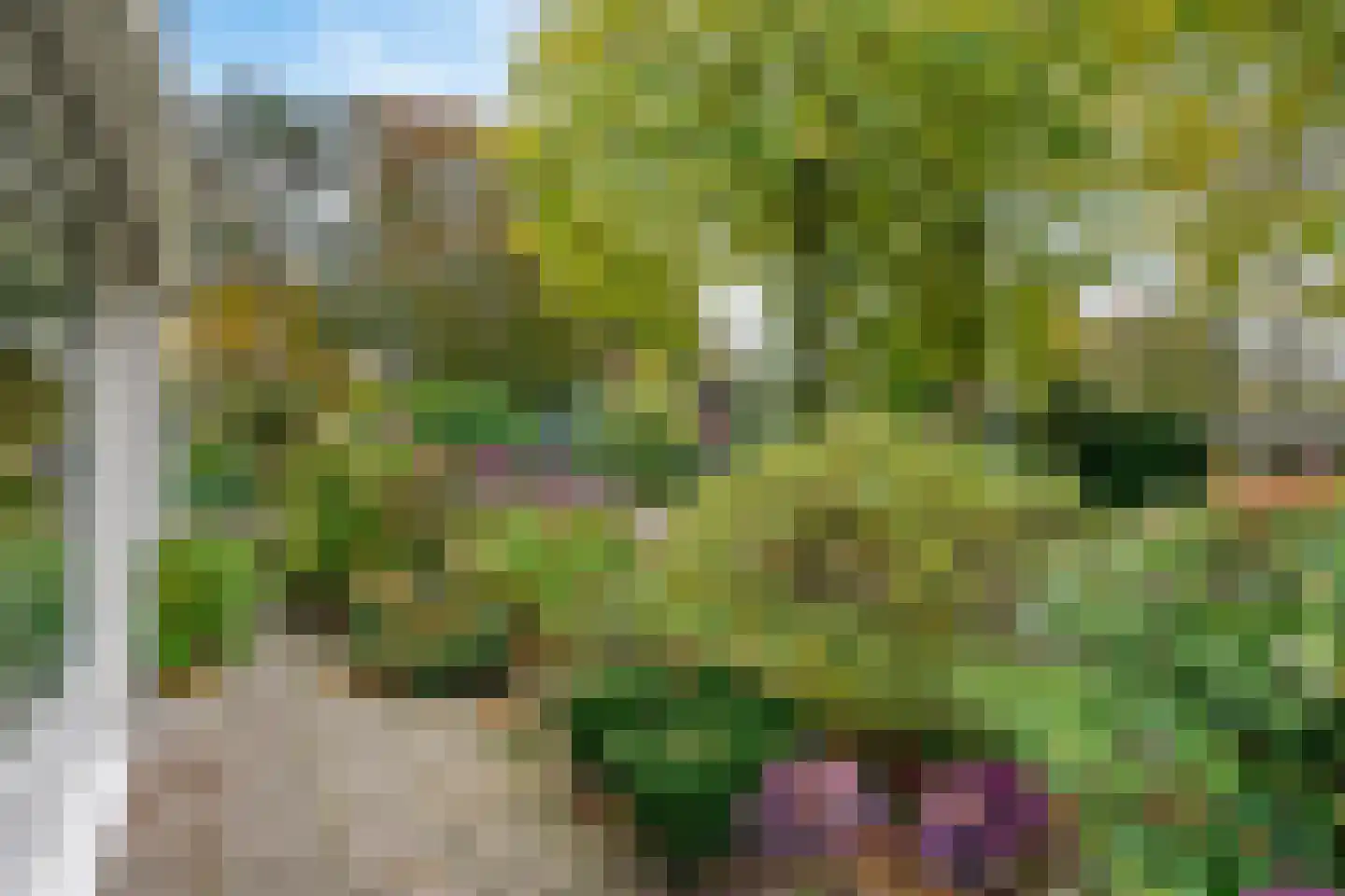 Rosandeweg 15 Oosterbeek thumbnail 52