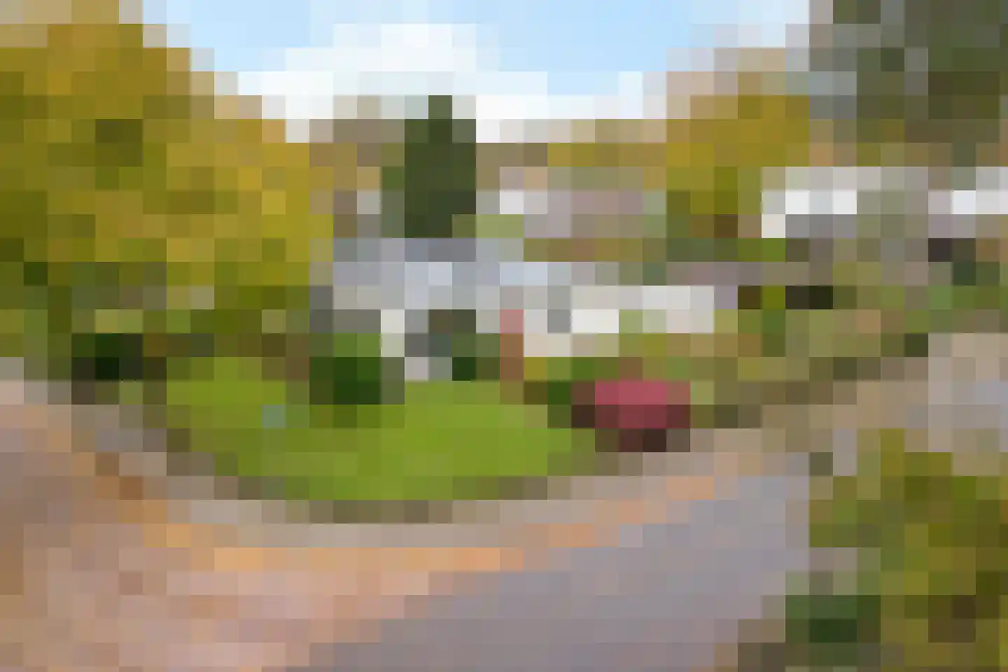Rosandeweg 15 Oosterbeek thumbnail 57