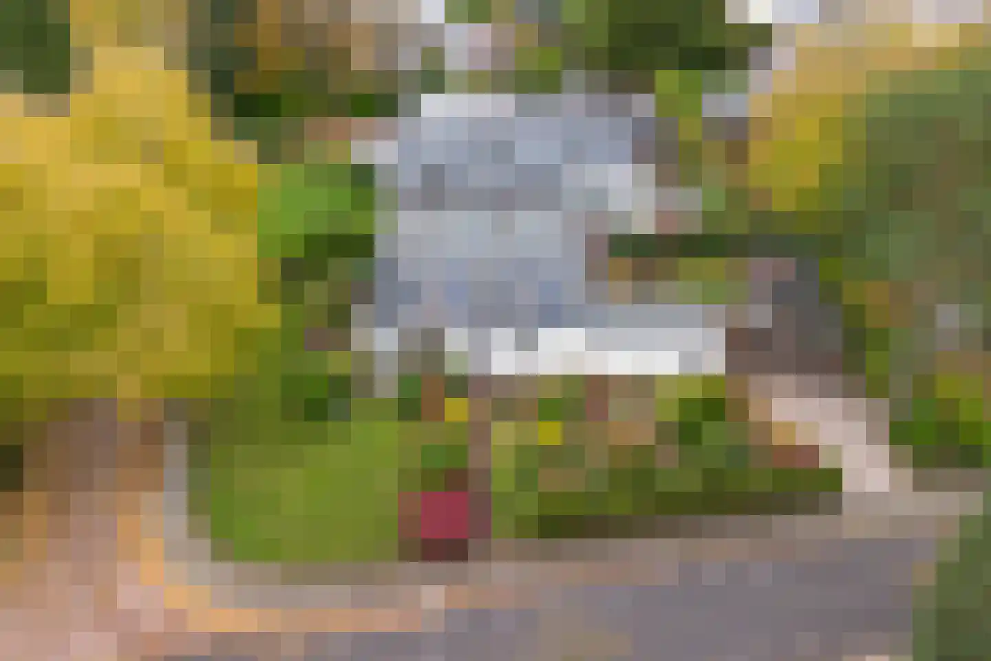 Rosandeweg 15 Oosterbeek thumbnail 58