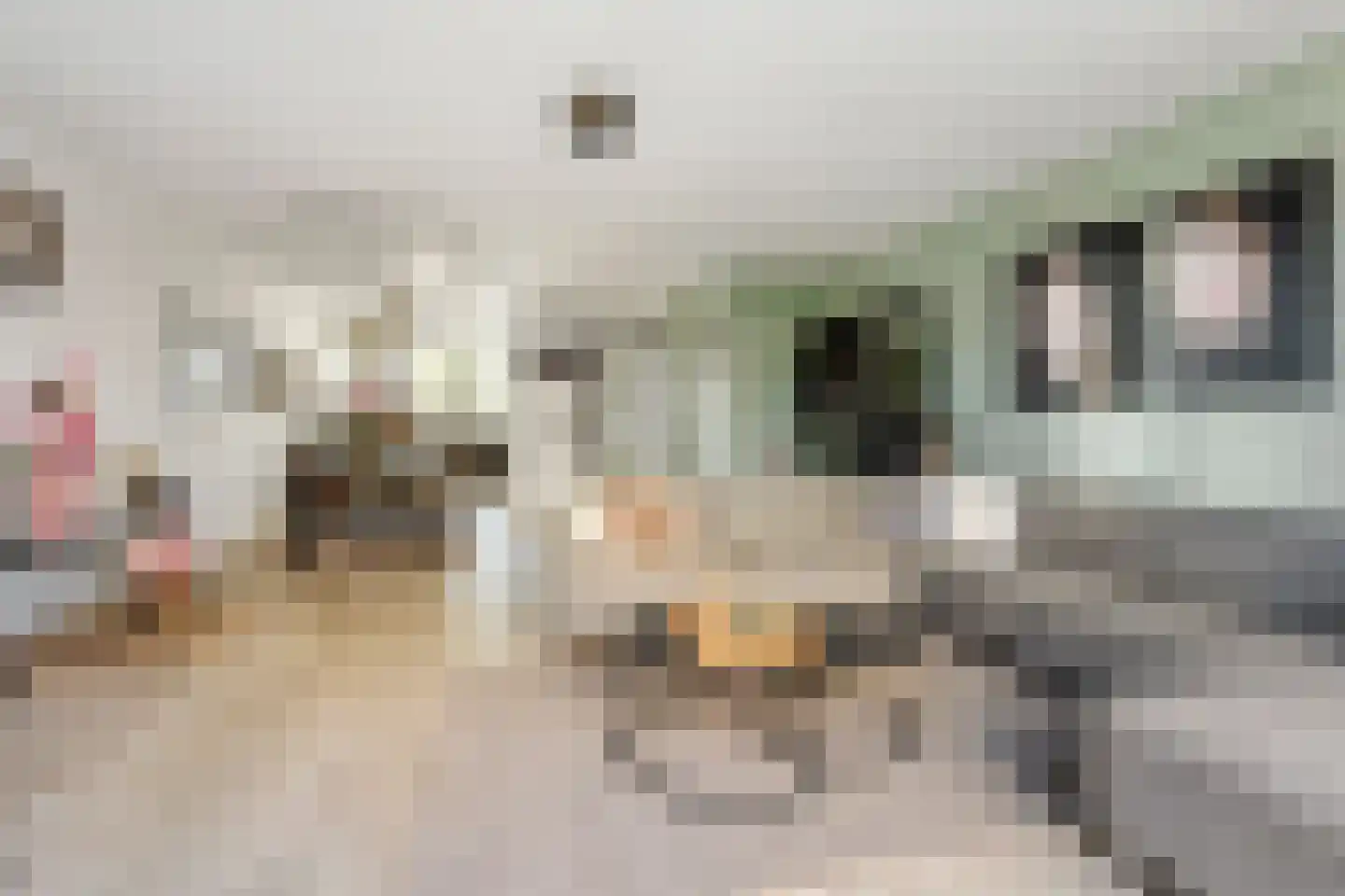 Rosario 2 Nieuwerkerk aan den IJssel thumbnail 6