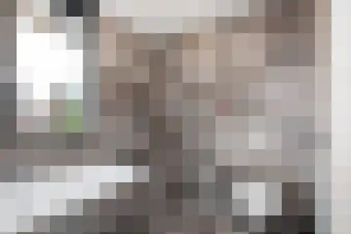 Rosario 7 Nieuwerkerk aan den IJssel thumbnail 31