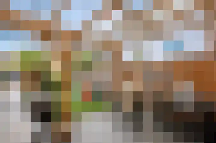 Rosario 7 Nieuwerkerk aan den IJssel thumbnail 38