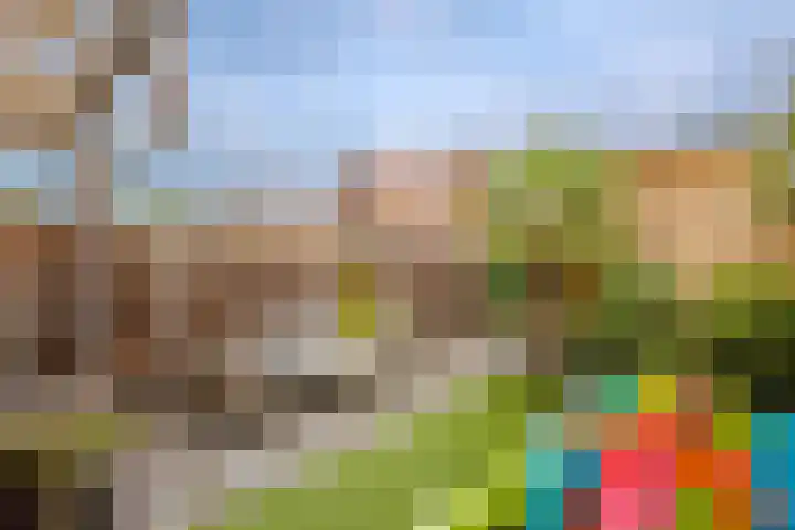 Rosario 7 Nieuwerkerk aan den IJssel thumbnail 39