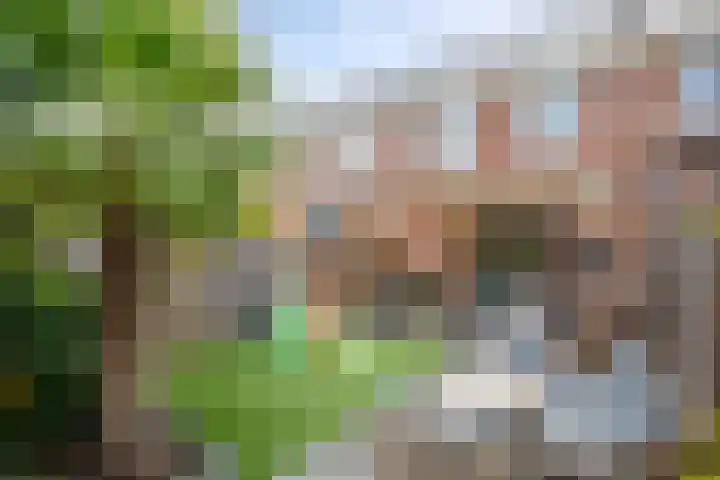 Rosario 7 Nieuwerkerk aan den IJssel thumbnail 4
