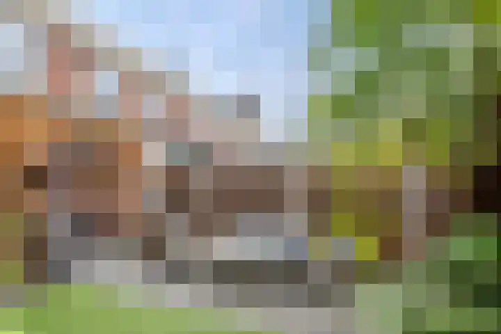 Rosario 7 Nieuwerkerk aan den IJssel thumbnail 42