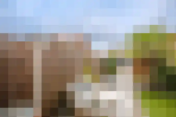 Rosario 7 Nieuwerkerk aan den IJssel thumbnail 43