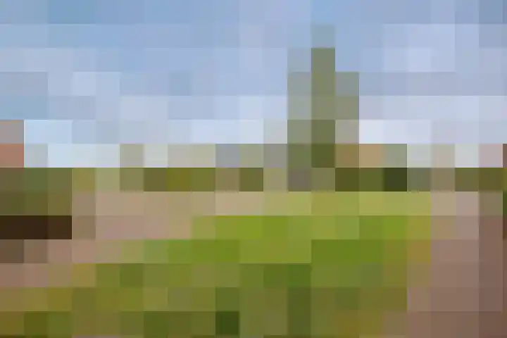 Rosario 7 Nieuwerkerk aan den IJssel thumbnail 47