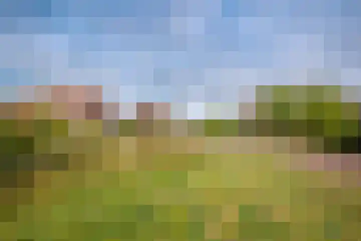 Rosario 7 Nieuwerkerk aan den IJssel thumbnail 48