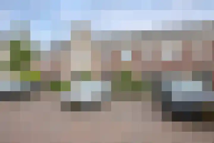 Rosario 7 Nieuwerkerk aan den IJssel thumbnail 49