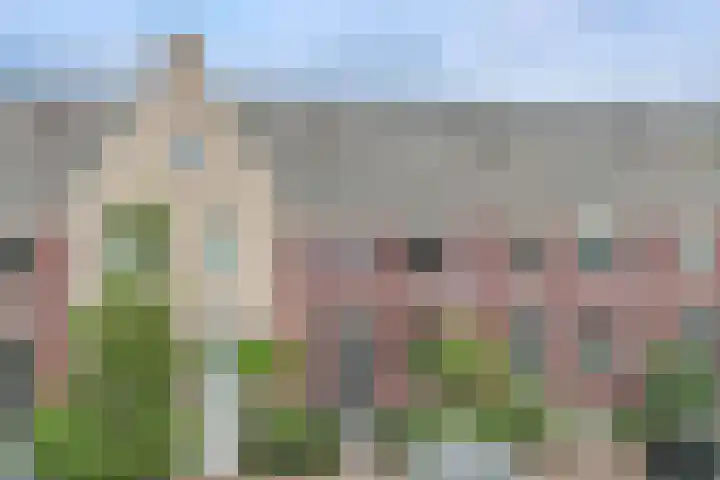 Rosario 7 Nieuwerkerk aan den IJssel thumbnail 5