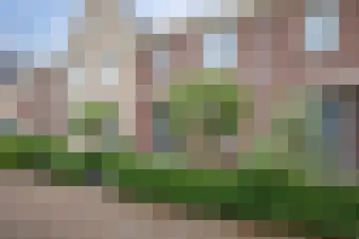 Rosario 7 Nieuwerkerk aan den IJssel thumbnail 51
