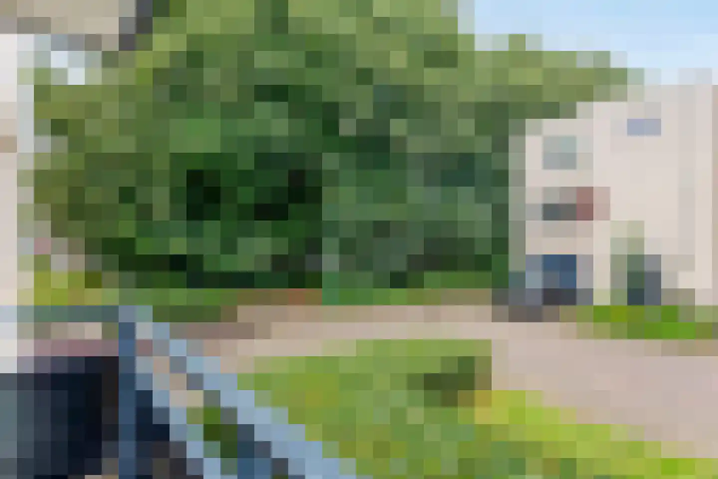 Rosariopark 46 Dongen thumbnail 19