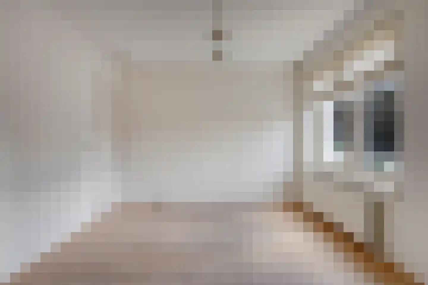 Rosariopark 46 Dongen thumbnail 20