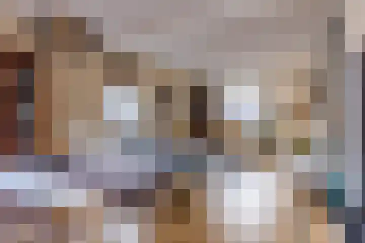 Rosariopark 99 Dongen thumbnail 12