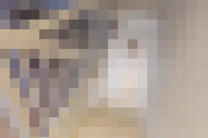 Rosariopark 99 Dongen thumbnail 25