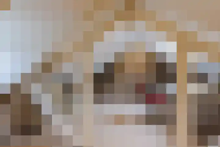 Rosariopark 99 Dongen thumbnail 26