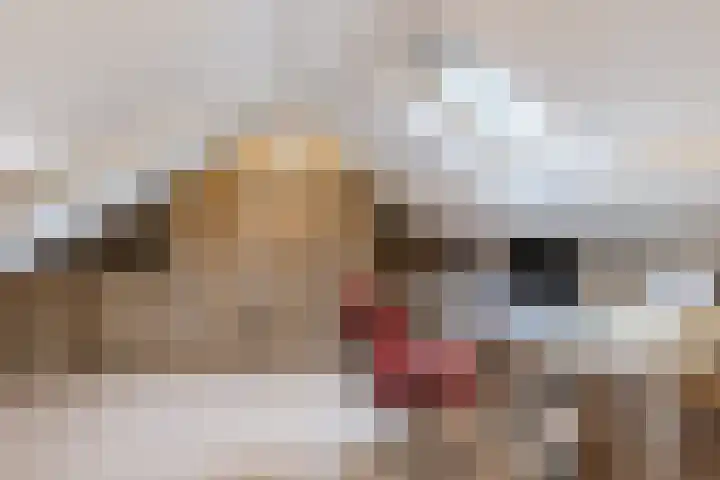 Rosariopark 99 Dongen thumbnail 27