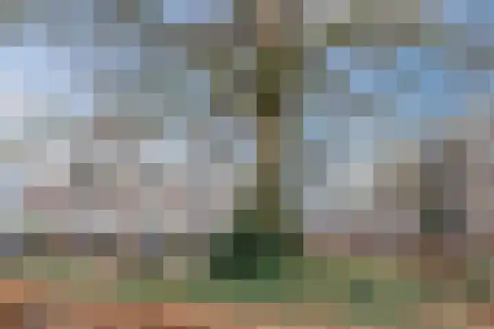 Rosariopark 99 Dongen thumbnail 34